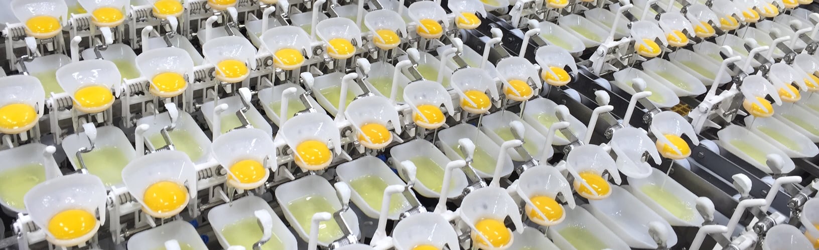 egg product manufacturer